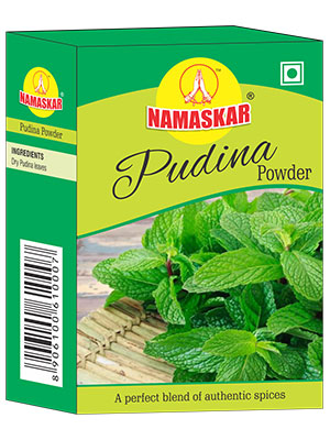 Pudina